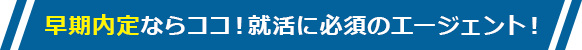 キャリアチケット就職エージェント